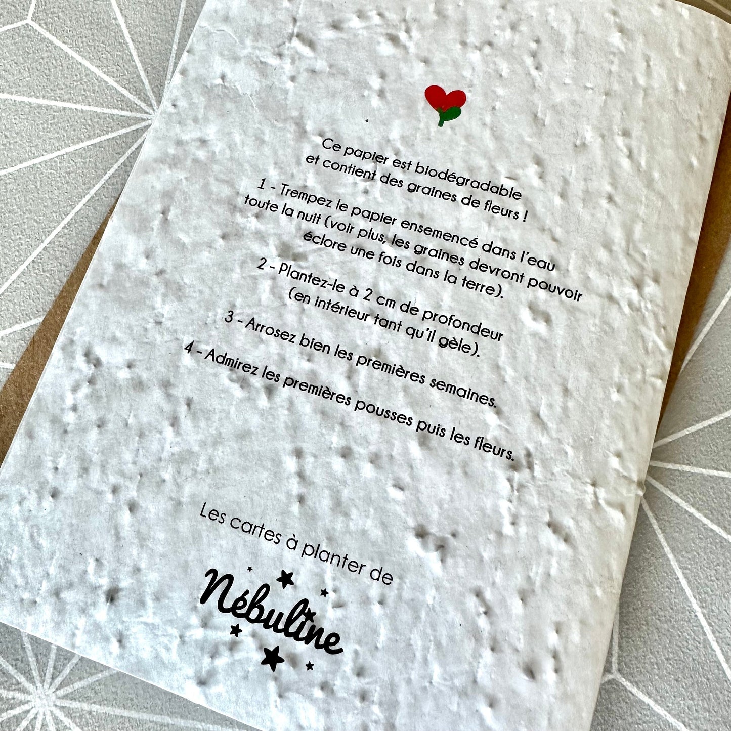 Carte à planter - Merci Maîtresse ATSEM Maître Nounou - Cadeau fin d'année scolaire
